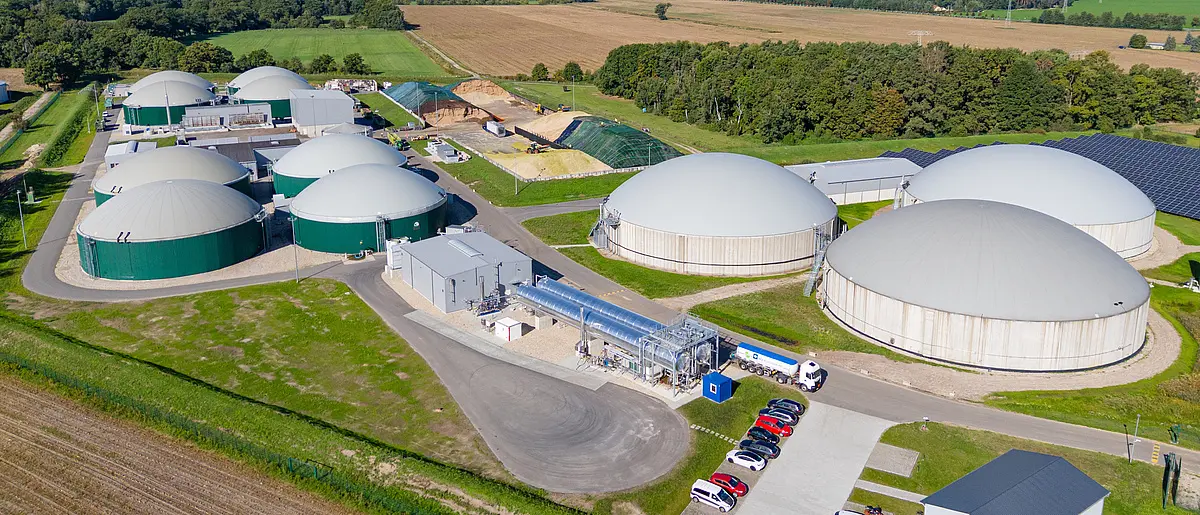 Biogas facility with multiple digesters